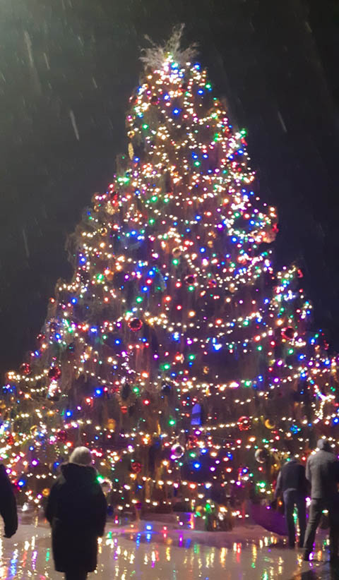 Record-setting Christmas Tree displayed in South Bend | Holladay Properties