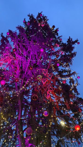 World's Tallest Valentine's Day Tree South Bend Indiana