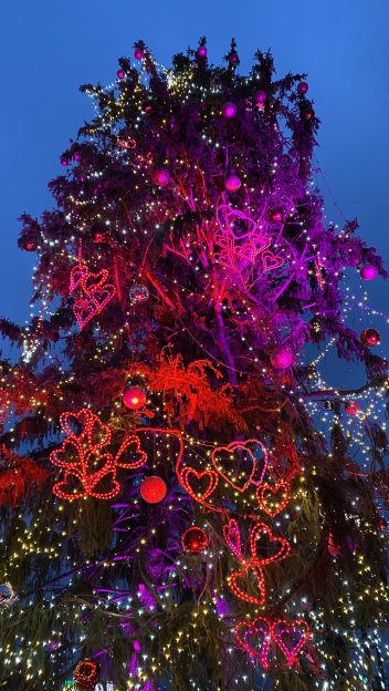 World's Tallest Valentine's Day Tree South Bend Indiana