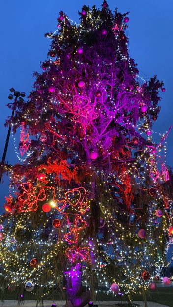 World's Tallest Valentine's Day Tree South Bend Indiana