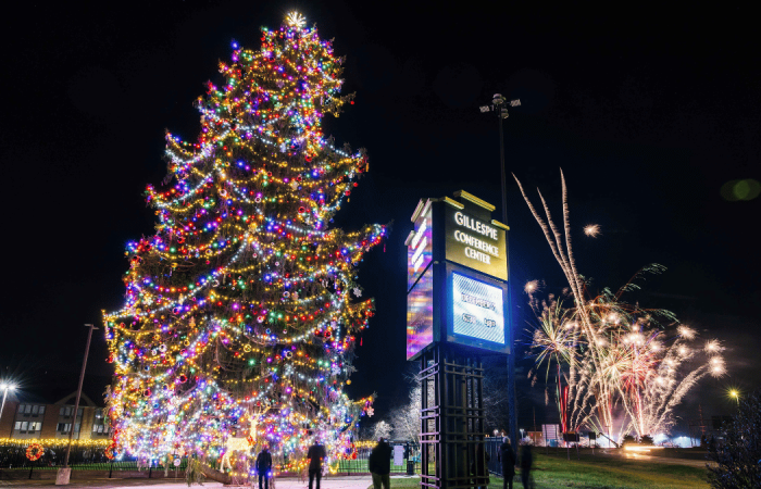 America's Tallest Fresh-Cut Christmas Tree South Bend Indiana