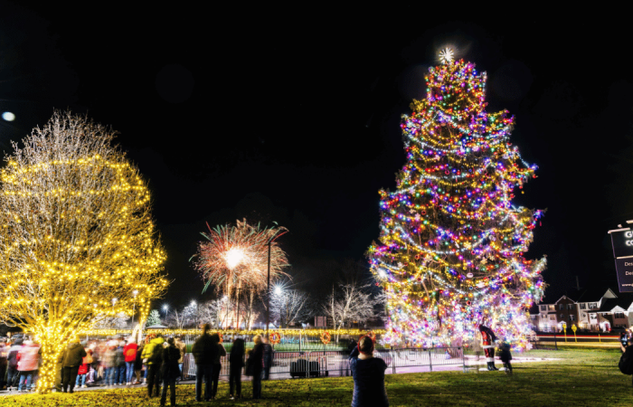 America's Tallest Fresh-Cut Christmas Tree South Bend Indiana