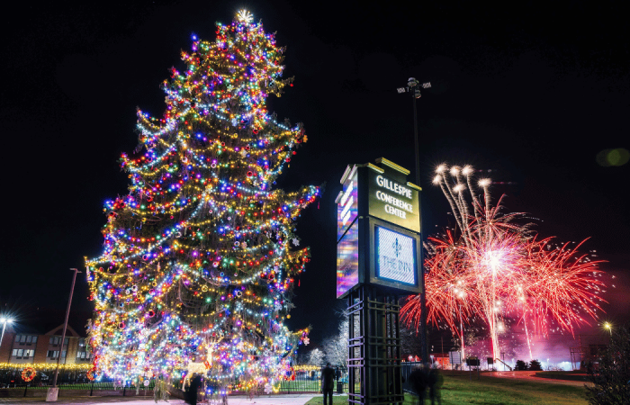 America's Tallest Fresh-Cut Christmas Tree South Bend Indiana